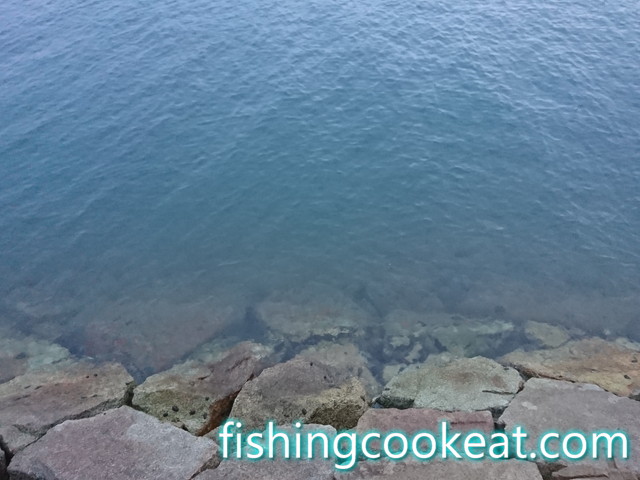 貝塚人工島の水路の釣りの場所は石畳あり