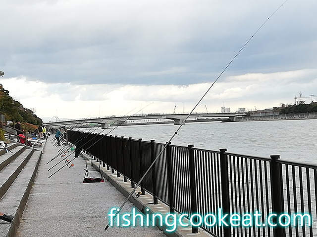 貝塚人工島の水路での釣り