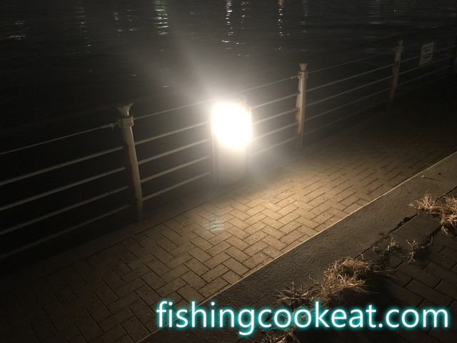 シーサイドコスモの夜釣りの常夜灯の様子
