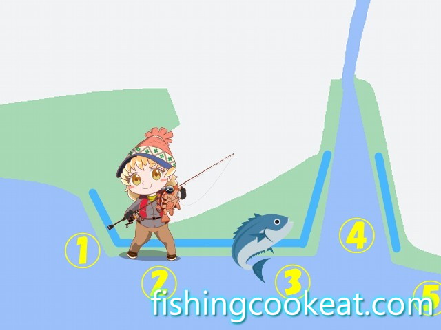 大蔵海岸での釣りのポイント