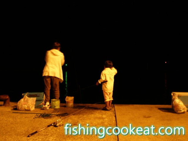 淡輪漁港の釣りと釣果！夜釣りも！サビキでアジ,エギングでアオリイカ